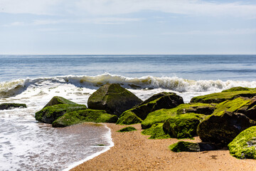 waves crashing on green mossy rocks.