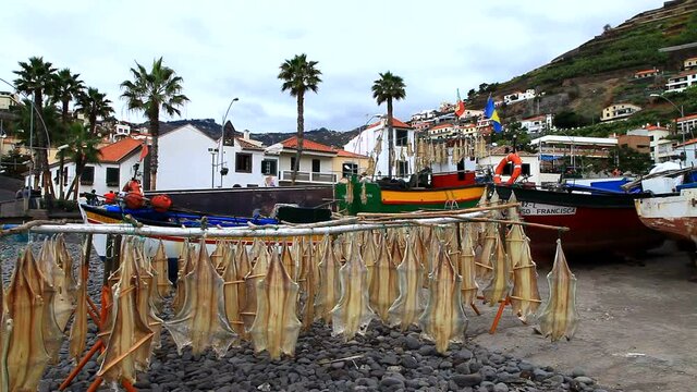 The fishing village of Camara de Lobos is famous for its good catch of deep-sea cod and the locals harvest fish for future use by drying right on the beach. Madeira Island, Portugal