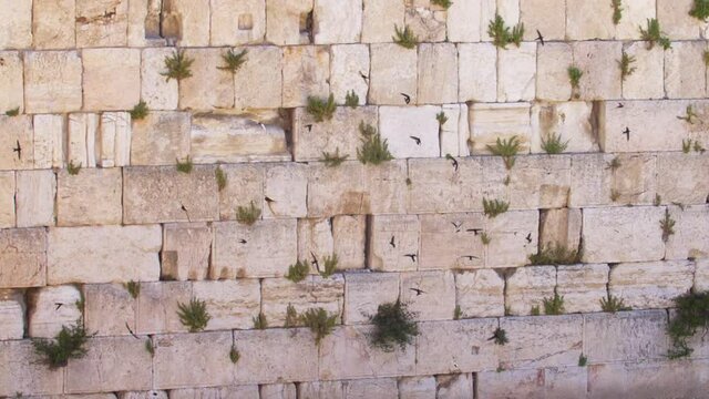 The wailing Wall (kotel,Western) With Swifts Birds Flying 