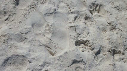 Footprints in the sand on the beach