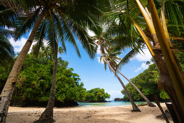 Palm trees  and blue sky on a tropical beach in Samoa - obrazy, fototapety, plakaty