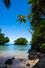 Crystal clear water and palm tree on a beach in tropical Samoa