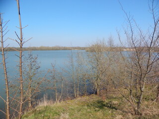 lake in the forest