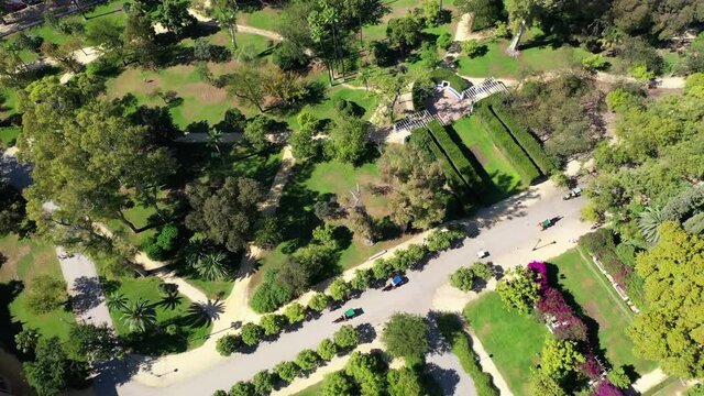 Aerial shot of horse carts on footpath at Parque de Maria Luisa, drone flying forward over plants and trees on sunny day - Seville, Spain
