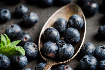 Freshly harvested blueberries on the spoon. Selective focus. Shallow depth of field.