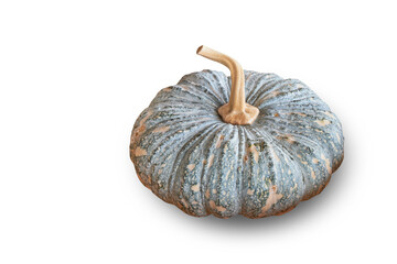 Pumpkin on a white background. Clipping path
