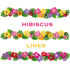 カラフルなハイビスカスと葉の罫線