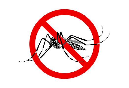 World Mosquito Day Poster | Dengue Awareness Poster | Malaria Day Drawing |  Mosquito Day Drawing - YouTube