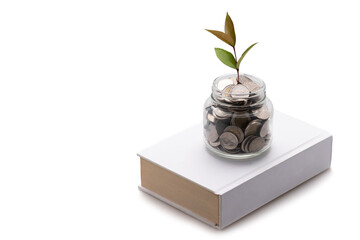 Tree tops on many coins in a glass jar Isolated on white background and copy space, saving and investment concept