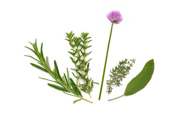 Fototapeta na wymiar collection of fresh aromatic herbs on white background