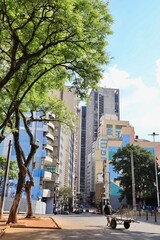 Fototapeta premium building in the city center