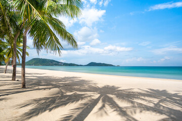 Fototapeta na wymiar Beach sea sand and palm in summer day
