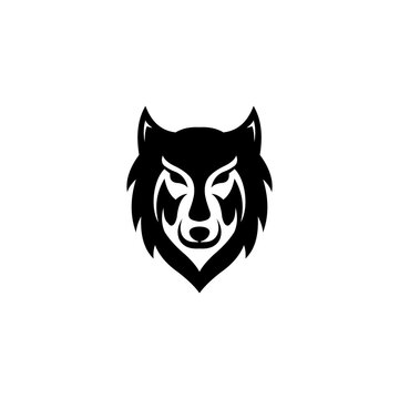 Wolf head symbol logo vector illustration