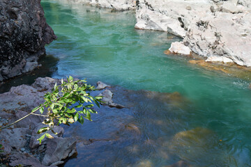 Image of a mountain river.