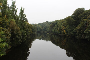 Fototapeta na wymiar Calm river 