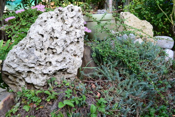 
Unusual stone on the lawn.