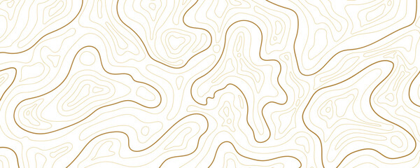 Abstract topographic map background Vector. 21:9 wallpaper design for fabric , packaging , web, geographic grid map vector illustration.