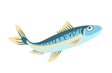 fish on a white background