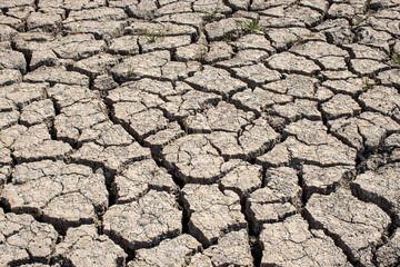 
Cracked soil, dry soil, arid, summer soil, lack of moisture, no plants, weeping tiger, Asia