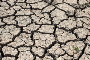
Cracked soil, dry soil, arid, summer soil, lack of moisture, no plants, weeping tiger, Asia