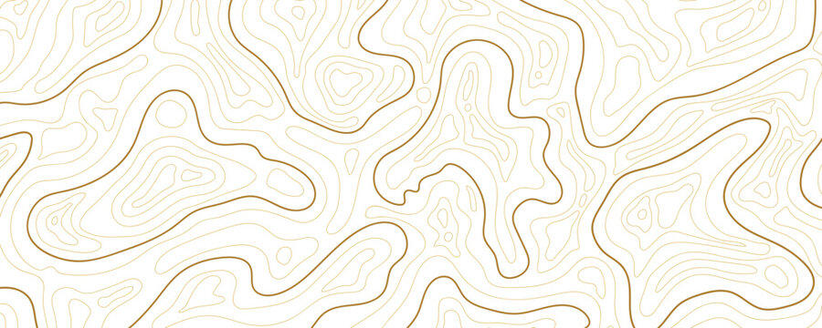 Abstract topographic map background Vector. 21:9 wallpaper design for fabric , packaging , web, geographic grid map vector illustration.