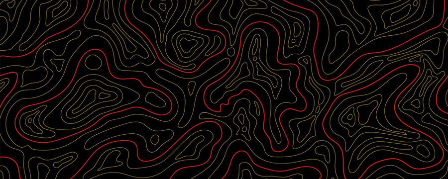 Abstract topographic map background Vector. 21:9 wallpaper design for fabric , packaging , web, geographic grid map vector illustration.