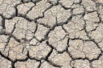 
Cracked soil, dry soil, arid, summer soil, lack of moisture, no plants, weeping tiger, Asia