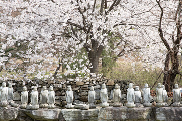 small buddha statue landscape in korea