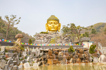 buddha statue in korea