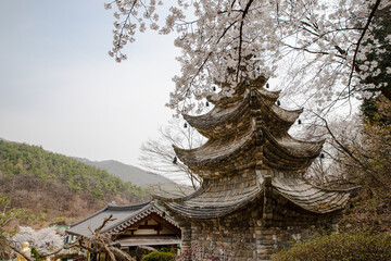 temple of heaven in korea