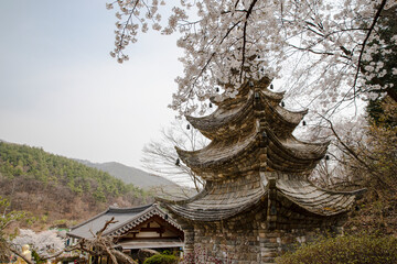Naklejka premium temple of heaven in korea