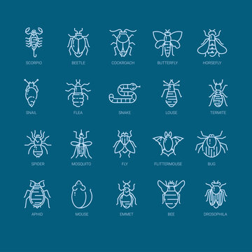 Pest Control Icon Set In Linear Style.