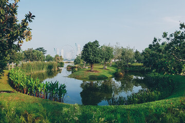 panoramic view of park and pond with singapore flyer in the background