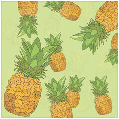 pineapple vector drawing, background, pattern