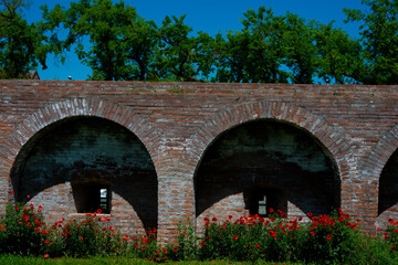 the brick wall of the fortress and the red poppies next to the wall