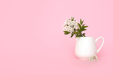 small white flowers in a vase on a pink background
