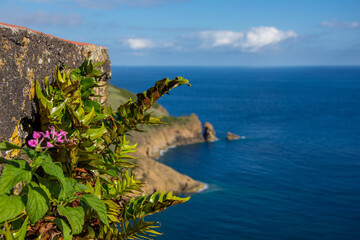 Walk on the Azores archipelago. Discovery of the island of Faial, Azores, Horta
