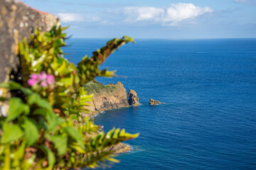 Walk on the Azores archipelago. Discovery of the island of Faial, Azores, Horta