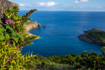 Fototapeta premium Walk on the Azores archipelago. Discovery of the island of Faial, Azores, Horta