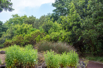 Walk on the Azores archipelago. Discovery of the island of Faial, Azores, Horta