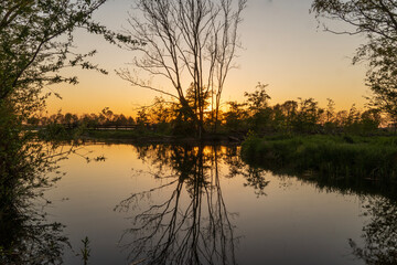 Obraz na płótnie Canvas sunset polder