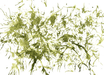 Horizontal abstract illustration of green watercolor splashes. Raster hand drawn illustration of dynamic chaotic drops and splashes in watercolor olive color