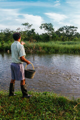 man working, feeding tilapia hatchery, feeding fish, sunny day