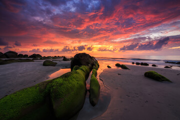 Amazing twilight Sunset seascape with sea wave hitting the green moss