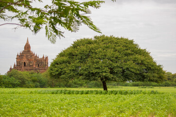 Bagan is an ancient city and a UNESCO World Heritage Site located in the Mandalay Region of Myanmar.
The Bagan Archaeological Zone is a main attraction for the country's nascent tourism industry