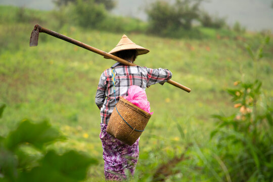 Myanmar, people working on fields between kalaw and inle lake