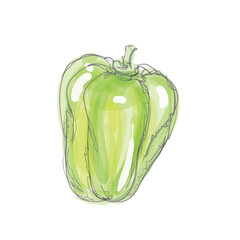 ピーマン、水彩画手書き風野菜シリーズ