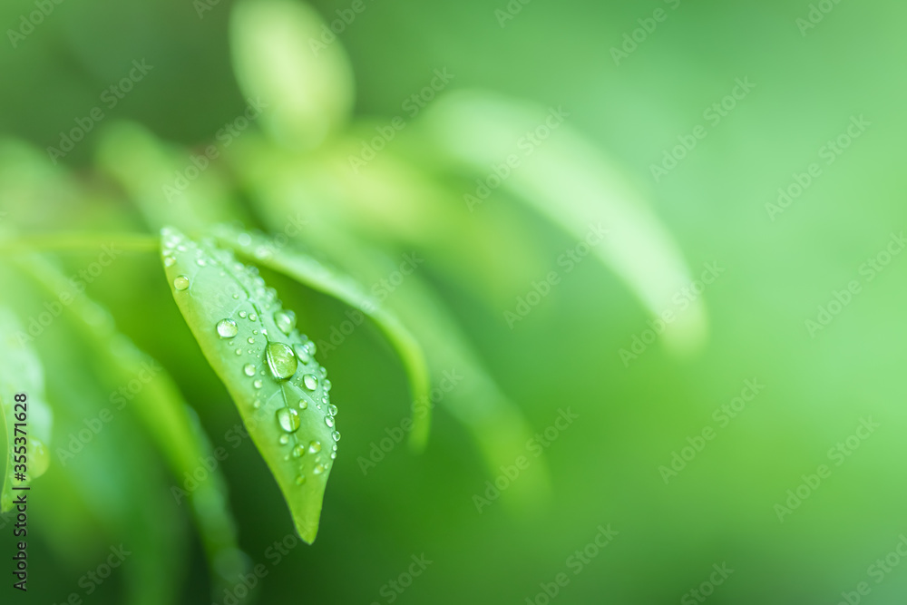 Poster leaves close up nature view of green leaf on blurred greenery background in garden use as background
