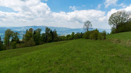 Mountain meadow with trees and hills on the background on Bahenec in Slezske Beskydy mountains in Czech republic
