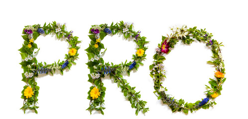 Flower, Branches And Blossom Letter Building English Word Pro. White Isolated Background